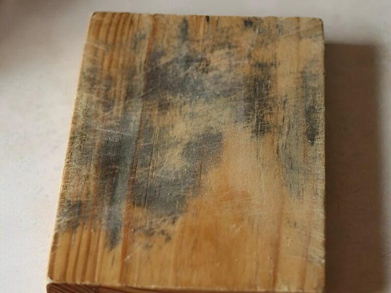 Why do wooden cutting boards get moldy