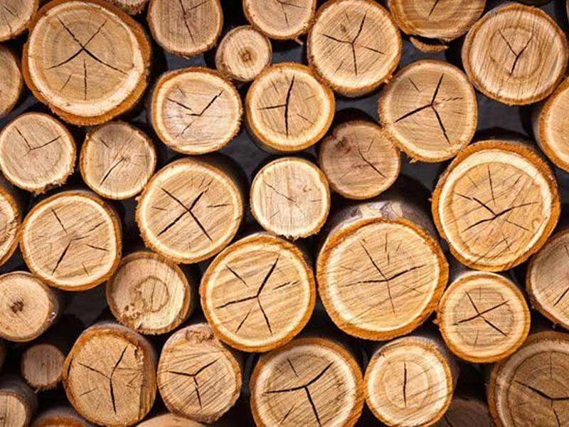 Characteristics of Acacia wood